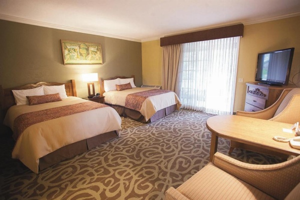 El Bonita Motel image 11